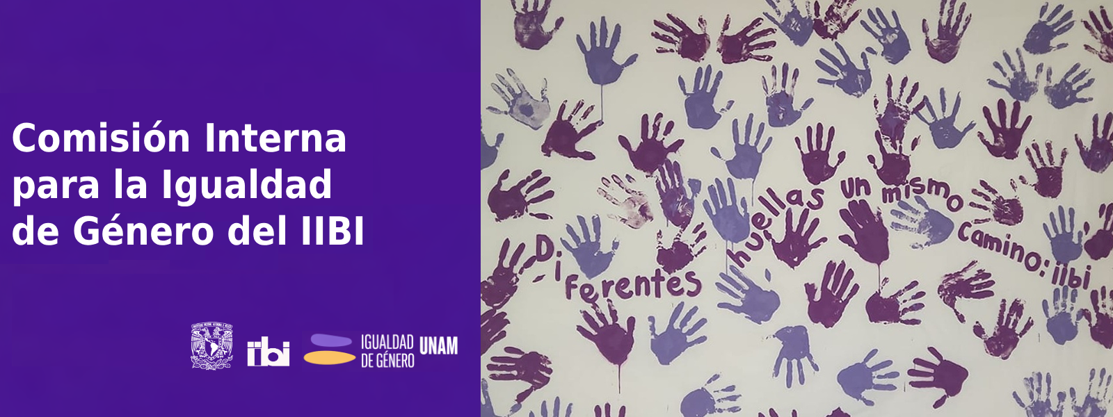 Comisión Interna para la Igualdad de Género