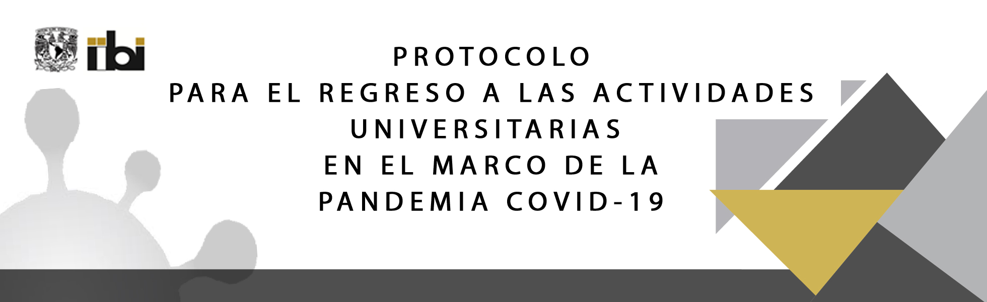 PROTOCOLO PARA EL REGRESO A LAS ACTIVIDADES UNIVERSITARIAS EN EL MARCO DE LA PANDEMIA COVID-19