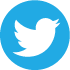 Twitter del IIBI