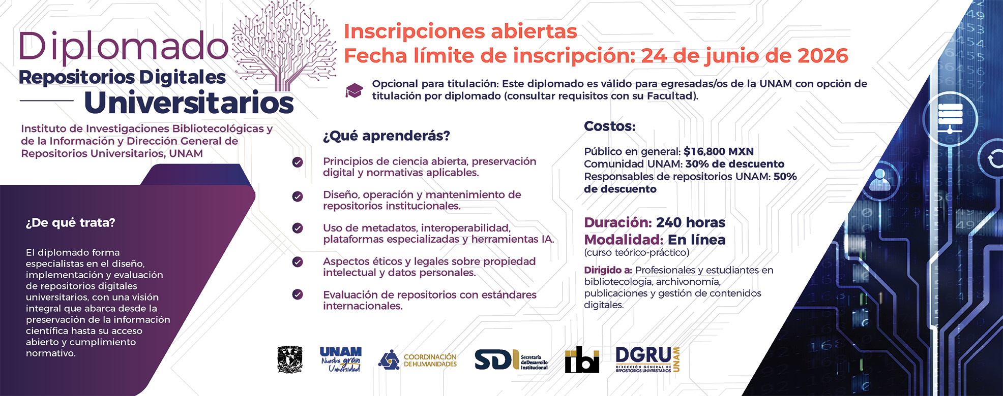 Diplomado en Repositorios Digitales